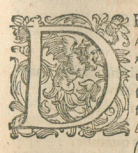 An illustration from Animadversiones in pharmacopoeiam Augustanam et annexam ejus mantissam, sive pharmacopoeia Augustana reformata, in qua vera et accuratissima methodo medicamentorum simplicium & compositorum praeparationes tam dextre traduntur, ac insuper antiquorum errores deteguntur, ut inde servatis & exaltatis simplicium medicaminum facultatibus, instrumenta multo aptiora medico evadant, quibus Cito, Tuto & Jucunde affectus humanum corpus infestantes propulsari queant. Nunc tertium revisa, plurimis locis adaucta, inque lucis edita, cum annexa appendice, Opera & studio Joannis Zwelferi Palatini M.D., 1667, leaf 175