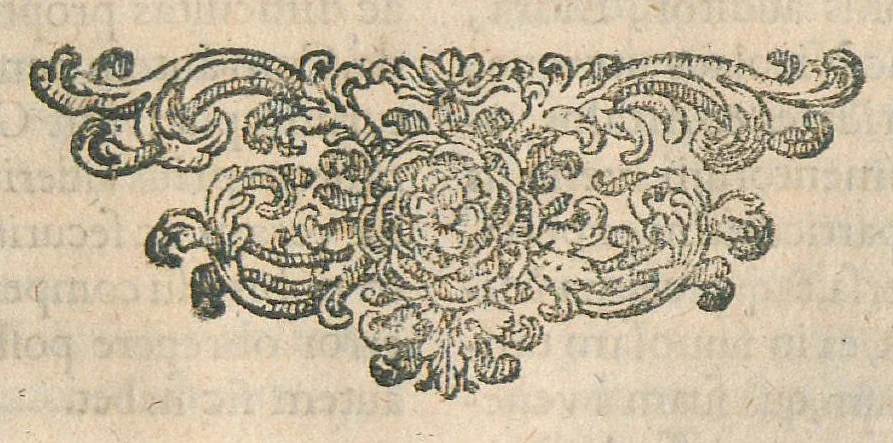 An illustration from Animadversiones in pharmacopoeiam Augustanam et annexam ejus mantissam, sive pharmacopoeia Augustana reformata, in qua vera et accuratissima methodo medicamentorum simplicium & compositorum praeparationes tam dextre traduntur, ac insuper antiquorum errores deteguntur, ut inde servatis & exaltatis simplicium medicaminum facultatibus, instrumenta multo aptiora medico evadant, quibus Cito, Tuto & Jucunde affectus humanum corpus infestantes propulsari queant. Nunc tertium revisa, plurimis locis adaucta, inque lucis edita, cum annexa appendice, Opera & studio Joannis Zwelferi Palatini M.D., 1667, leaf 255