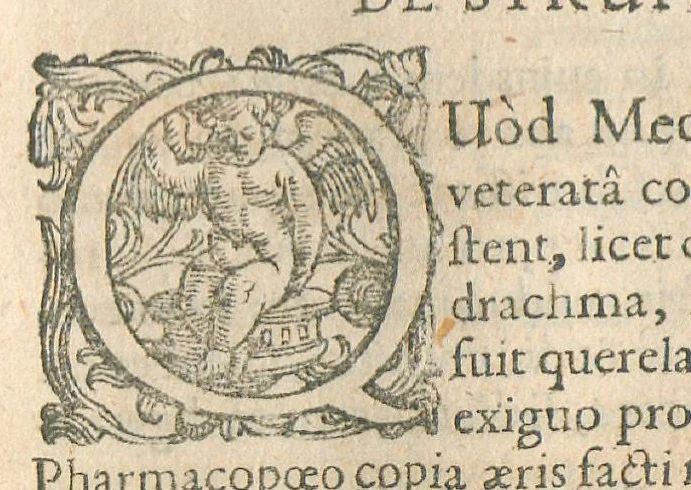 An illustration from Animadversiones in pharmacopoeiam Augustanam et annexam ejus mantissam, sive pharmacopoeia Augustana reformata, in qua vera et accuratissima methodo medicamentorum simplicium & compositorum praeparationes tam dextre traduntur, ac insuper antiquorum errores deteguntur, ut inde servatis & exaltatis simplicium medicaminum facultatibus, instrumenta multo aptiora medico evadant, quibus Cito, Tuto & Jucunde affectus humanum corpus infestantes propulsari queant. Nunc tertium revisa, plurimis locis adaucta, inque lucis edita, cum annexa appendice, Opera & studio Joannis Zwelferi Palatini M.D., 1667, leaf 535