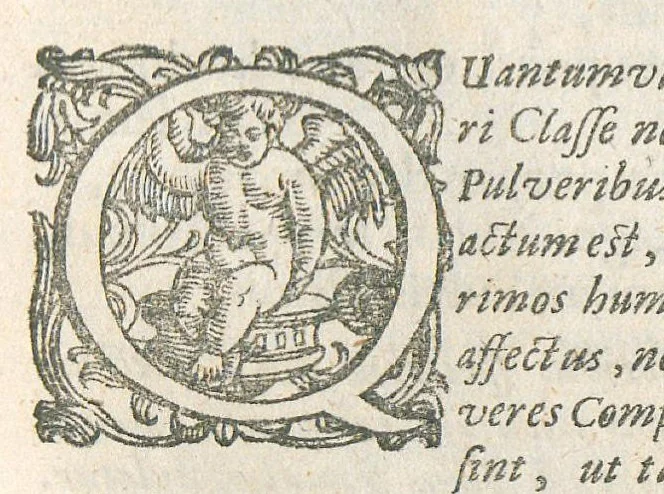 An illustration from Pharmacopoeia regia, seu Dispensatorium novum locupletatum et absolutum, annexa etiam mantissa spagyrica, in quibus vera et accurata methodo selectissimorum medicamentorum compositiones et praeparationes traduntur... Cui accessere bini discursus apologetici. Authore Joanne Zwelfer,..., 1668, leaf 136