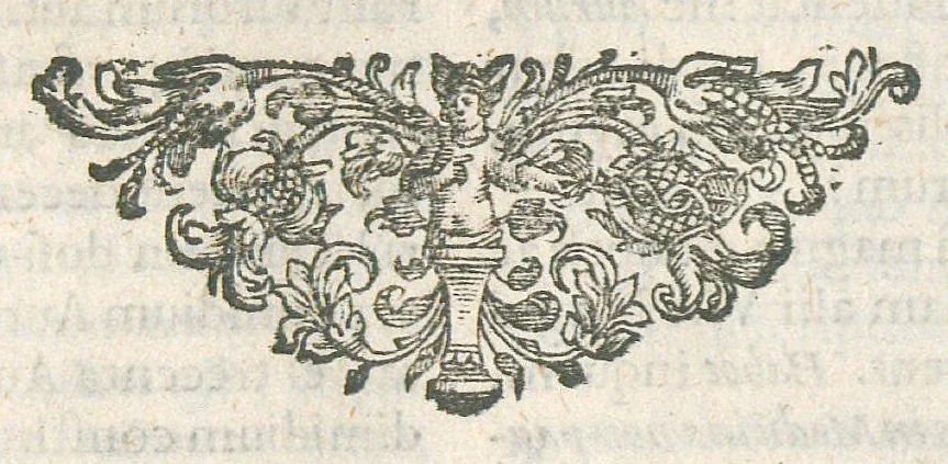An illustration from Pharmacopoeia regia, seu Dispensatorium novum locupletatum et absolutum, annexa etiam mantissa spagyrica, in quibus vera et accurata methodo selectissimorum medicamentorum compositiones et praeparationes traduntur... Cui accessere bini discursus apologetici. Authore Joanne Zwelfer,..., 1668, leaf 338