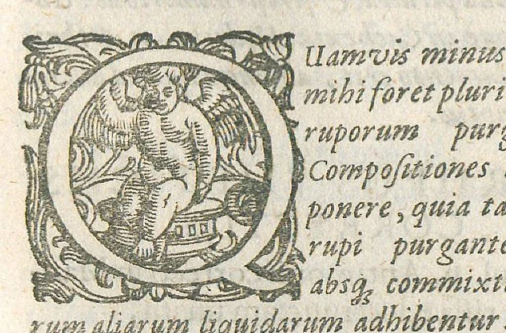 An illustration from Pharmacopoeia regia, seu Dispensatorium novum locupletatum et absolutum, annexa etiam mantissa spagyrica, in quibus vera et accurata methodo selectissimorum medicamentorum compositiones et praeparationes traduntur... Cui accessere bini discursus apologetici. Authore Joanne Zwelfer,..., 1668, leaf 54