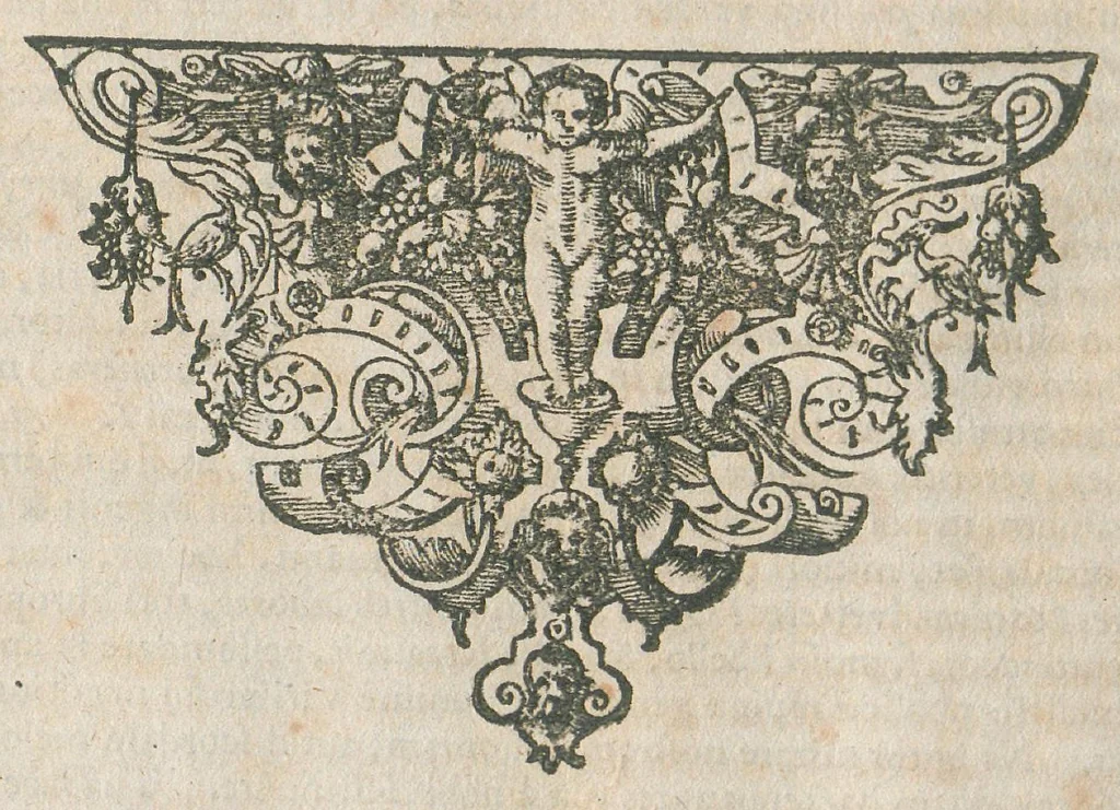 An illustration from Discursus apologeticus Joannis Zwelferi adversus Hippocratem chymicum Ottonis Tackenii : ejusq adulterini salis viperini novissimi fundamenta, ut ait, antiquissima : cui & accessere ejusdem justimissimae vindiciae contra Franciscum Verny. Annexo etiam Apologemate epistolico anonymi., 1668, leaf 241