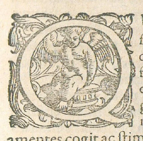 An illustration from Discursus apologeticus Joannis Zwelferi adversus Hippocratem chymicum Ottonis Tackenii : ejusq adulterini salis viperini novissimi fundamenta, ut ait, antiquissima : cui & accessere ejusdem justimissimae vindiciae contra Franciscum Verny. Annexo etiam Apologemate epistolico anonymi., 1668, leaf 242