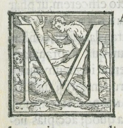 An illustration from Luminare maius lumen apothecariorum, & aromatariorum thesaurus Omnibus cum mecidis, tum aromatariis pernecessaria Opera In quibus multa clarissimorum medicorum pharmaca, Nicolai Mutoni Medici Mediolanensis, olim opera, & nunc aliorum plurium diligentissimorum medicorum addita : & quæ prius extabant ab innumerabilibus erratis purgata reperies. Indices duo insunt : alter ad minima quæque simplicium nomina reperienda anta operis initium : alter in fine libri, quid in unaquaqu[ue] sectione contineatur, amplissime declarans., 1561, leaf 5