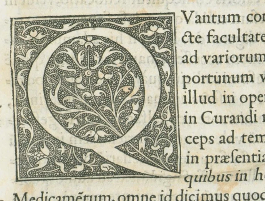 An illustration from Claudii Gaieni Pergameni De simplicium medicamentorum facultatibus libri vndecim. Theodorico Gerardo Gaudano interprete. Qui emendatiores exeunt, locis compluribus restitutis ex vetustissimorum exemplarium collatione, 1545, leaf 12