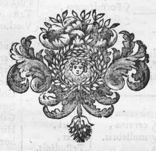 An illustration from Collectanea pharmaceutica seu apparatus ad novam pharmacopoeam, 1695, leaf 42