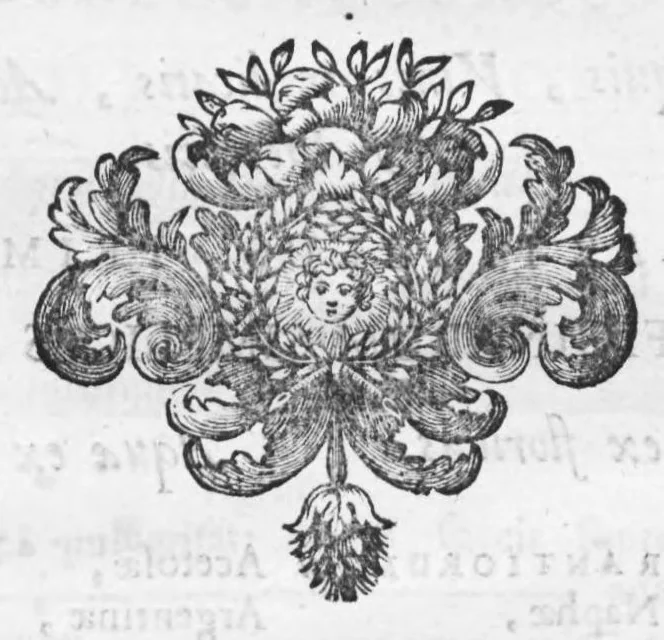 An illustration from Collectanea pharmaceutica seu apparatus ad novam pharmacopoeam, 1695, leaf 61