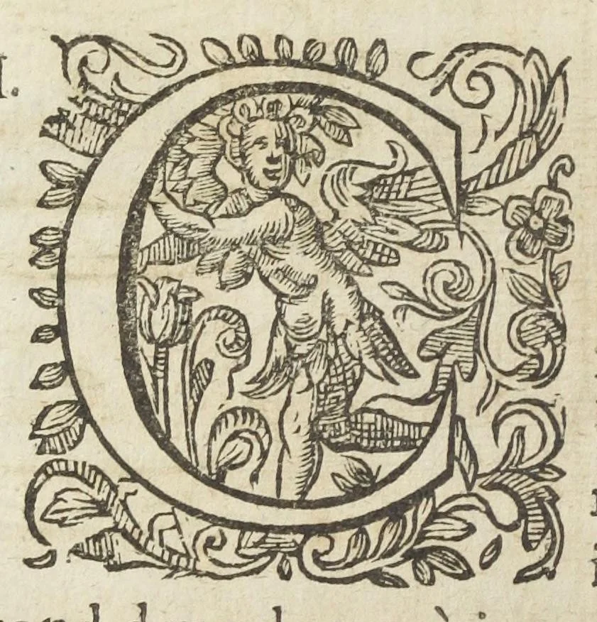 An illustration from Le vray et methodique cours de la physique resolutive, vulgairements dite chymie representé par figures generales & particulieres pour connoistre la theotechnie ergocosmique, c'est a dire, l'art de Dieu en l'ouvrage de l'univers. Seconde édition, avec l'indice des matieres de ce volume, & quelques additions. Par Annibal Barlet, 1657, leaf 169