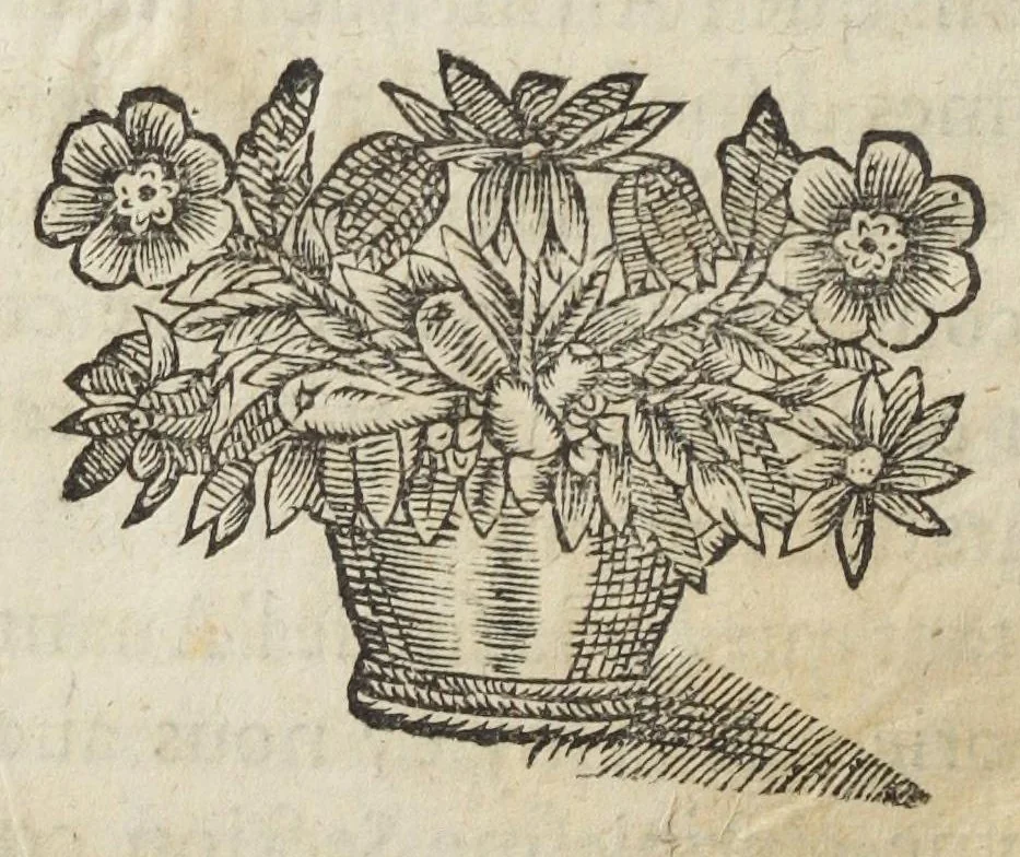An illustration from Le vray et methodique cours de la physique resolutive, vulgairements dite chymie representé par figures generales & particulieres pour connoistre la theotechnie ergocosmique, c'est a dire, l'art de Dieu en l'ouvrage de l'univers. Seconde édition, avec l'indice des matieres de ce volume, & quelques additions. Par Annibal Barlet, 1657, leaf 245