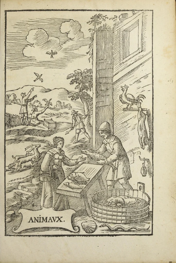 An illustration from Le vray et methodique cours de la physique resolutive, vulgairements dite chymie representé par figures generales & particulieres pour connoistre la theotechnie ergocosmique, c'est a dire, l'art de Dieu en l'ouvrage de l'univers. Seconde édition, avec l'indice des matieres de ce volume, & quelques additions. Par Annibal Barlet, 1657, leaf 257
