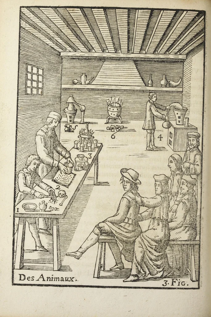 An illustration from Le vray et methodique cours de la physique resolutive, vulgairements dite chymie representé par figures generales & particulieres pour connoistre la theotechnie ergocosmique, c'est a dire, l'art de Dieu en l'ouvrage de l'univers. Seconde édition, avec l'indice des matieres de ce volume, & quelques additions. Par Annibal Barlet, 1657, leaf 292