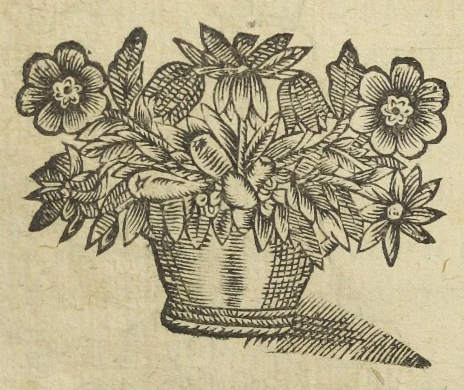 An illustration from Le vray et methodique cours de la physique resolutive, vulgairements dite chymie representé par figures generales & particulieres pour connoistre la theotechnie ergocosmique, c'est a dire, l'art de Dieu en l'ouvrage de l'univers. Seconde édition, avec l'indice des matieres de ce volume, & quelques additions. Par Annibal Barlet, 1657, leaf 355