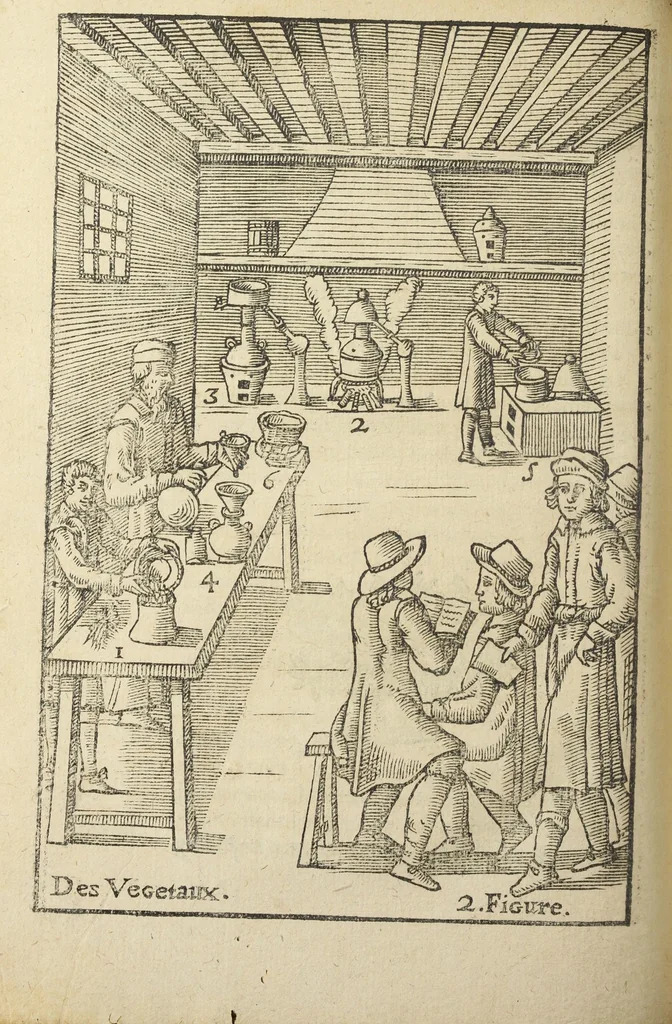 An illustration from Le vray et methodique cours de la physique resolutive, vulgairements dite chymie representé par figures generales & particulieres pour connoistre la theotechnie ergocosmique, c'est a dire, l'art de Dieu en l'ouvrage de l'univers. Seconde édition, avec l'indice des matieres de ce volume, & quelques additions. Par Annibal Barlet, 1657, leaf 356