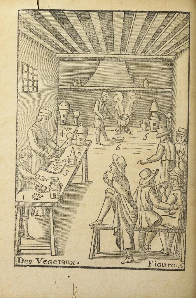An illustration from Le vray et methodique cours de la physique resolutive, vulgairements dite chymie representé par figures generales & particulieres pour connoistre la theotechnie ergocosmique, c'est a dire, l'art de Dieu en l'ouvrage de l'univers. Seconde édition, avec l'indice des matieres de ce volume, & quelques additions. Par Annibal Barlet, 1657, leaf 416