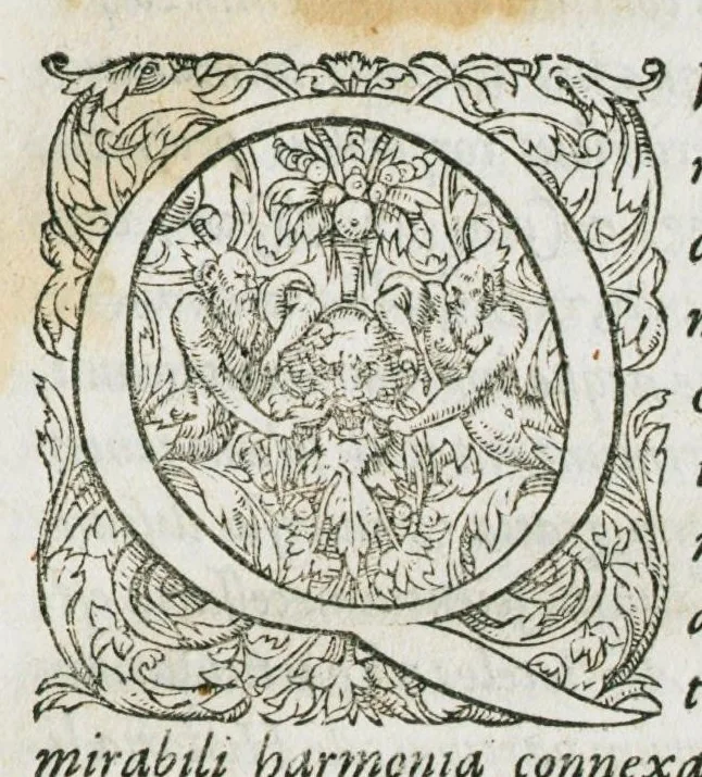 An illustration from Libri de piscibus marinis, in quibus verae piscium effigies expressae sunt. Quæ in ntota piscium historia contineantur, indicat elenchus pagina nona et decima. Postremo accesserunt indices necessarii. Gulielmi Rondeletti, Doctoris medici et medicinae in schola monspeliensi professoris regii., 1554, leaf 15