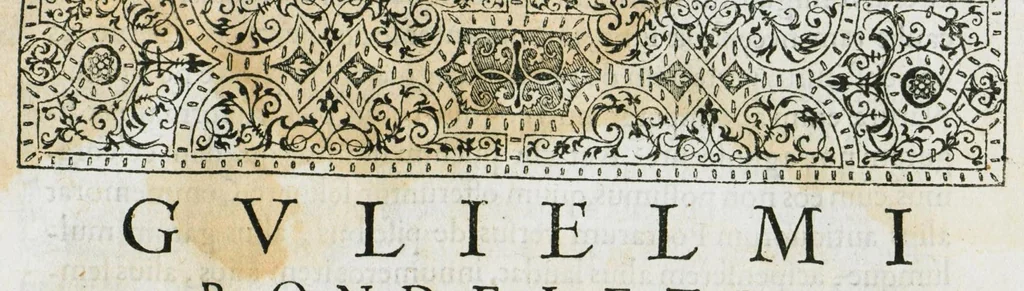 An illustration from Libri de piscibus marinis, in quibus verae piscium effigies expressae sunt. Quæ in ntota piscium historia contineantur, indicat elenchus pagina nona et decima. Postremo accesserunt indices necessarii. Gulielmi Rondeletti, Doctoris medici et medicinae in schola monspeliensi professoris regii., 1554, leaf 21