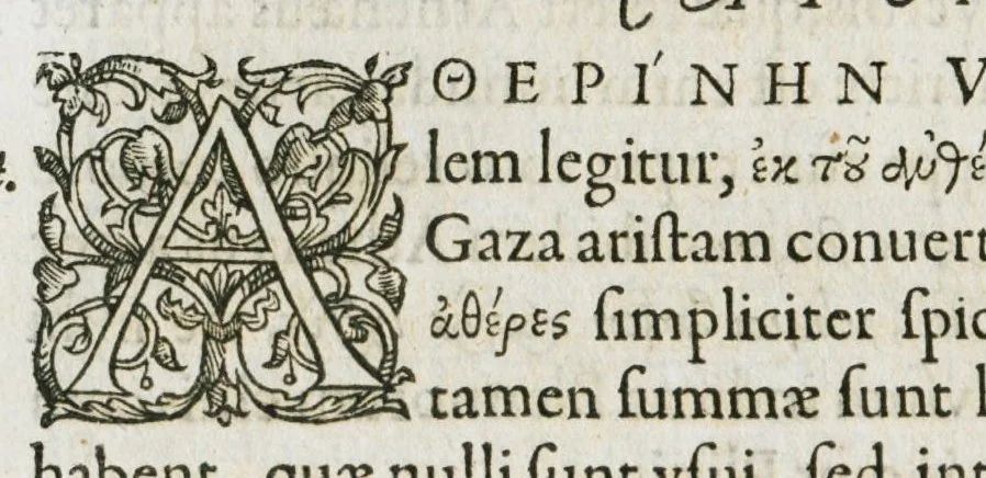 An illustration from Libri de piscibus marinis, in quibus verae piscium effigies expressae sunt. Quæ in ntota piscium historia contineantur, indicat elenchus pagina nona et decima. Postremo accesserunt indices necessarii. Gulielmi Rondeletti, Doctoris medici et medicinae in schola monspeliensi professoris regii., 1554, leaf 236