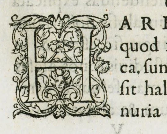 An illustration from Libri de piscibus marinis, in quibus verae piscium effigies expressae sunt. Quæ in ntota piscium historia contineantur, indicat elenchus pagina nona et decima. Postremo accesserunt indices necessarii. Gulielmi Rondeletti, Doctoris medici et medicinae in schola monspeliensi professoris regii., 1554, leaf 242