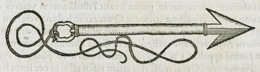 An illustration from Libri de piscibus marinis, in quibus verae piscium effigies expressae sunt. Quæ in ntota piscium historia contineantur, indicat elenchus pagina nona et decima. Postremo accesserunt indices necessarii. Gulielmi Rondeletti, Doctoris medici et medicinae in schola monspeliensi professoris regii., 1554, leaf 495