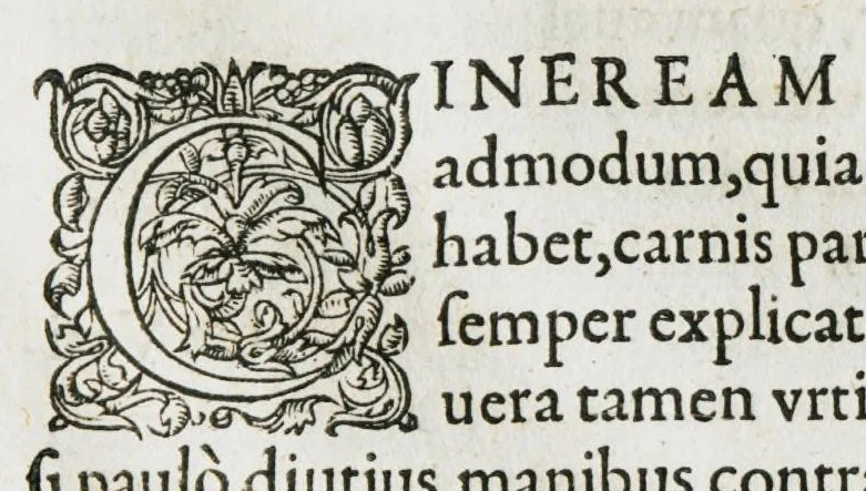 An illustration from Libri de piscibus marinis, in quibus verae piscium effigies expressae sunt. Quæ in ntota piscium historia contineantur, indicat elenchus pagina nona et decima. Postremo accesserunt indices necessarii. Gulielmi Rondeletti, Doctoris medici et medicinae in schola monspeliensi professoris regii., 1554, leaf 549