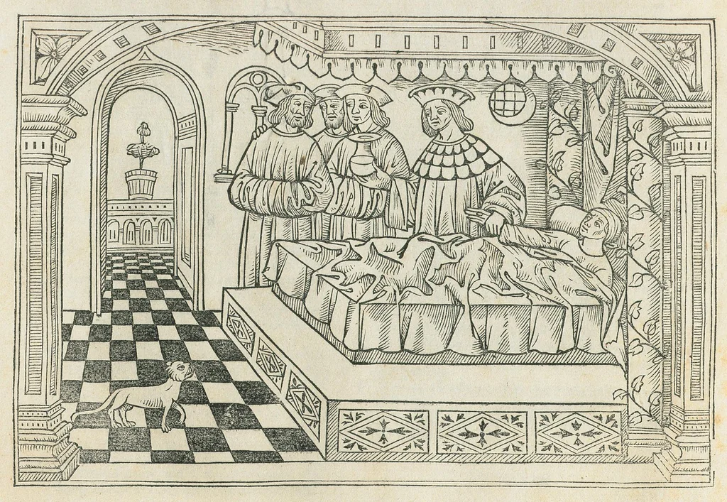 An illustration from Opus Pandectarum. Habès studiossime lector opus pa[n]dectar[um] medicine Matthei Silvatici nuper impressum cum quottationibus omniu[m] auctoru[m] in locis propriis & Symone Janue[n]si : additis etia[m] non[n]ulis capitulis simpliciu[m] medicinarum in aliis non compertis ... necno[n] etia[m] tabula addita per ... Baptista[m] Sardum : additis insuper numero capitulorum Gale[ni] & alior[um] auctor[um] ... et tabula nusq[uam] impressa ... necnon & annotationibus compilatus per D[omi]nicum Martinum de Sospitello, 1526, leaf 16