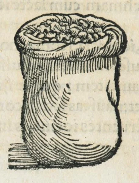 An illustration from Botanicon, continens herbarum, aliorumque simplicium, quorum usus in medicinis est, descriptiones et iconas ad vivum effigiatas : ex praecipuis tam Grecis quam Latinis Authoribus jam recens concinnatum ; Additis etiam, quae Neotericorum obseruationes & experientiae uel comprobarunt denuo, uel nuper inuenerunt/ Avt. Theodorico Dorstenio Medico., 1540, leaf 297
