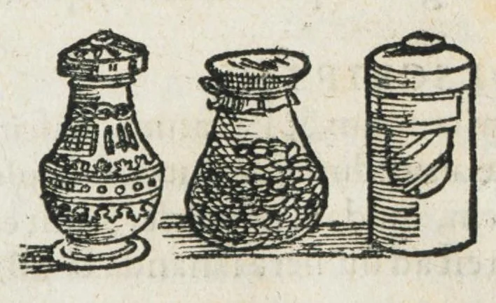 An illustration from Botanicon, continens herbarum, aliorumque simplicium, quorum usus in medicinis est, descriptiones et iconas ad vivum effigiatas : ex praecipuis tam Grecis quam Latinis Authoribus jam recens concinnatum ; Additis etiam, quae Neotericorum obseruationes & experientiae uel comprobarunt denuo, uel nuper inuenerunt/ Avt. Theodorico Dorstenio Medico., 1540, leaf 70