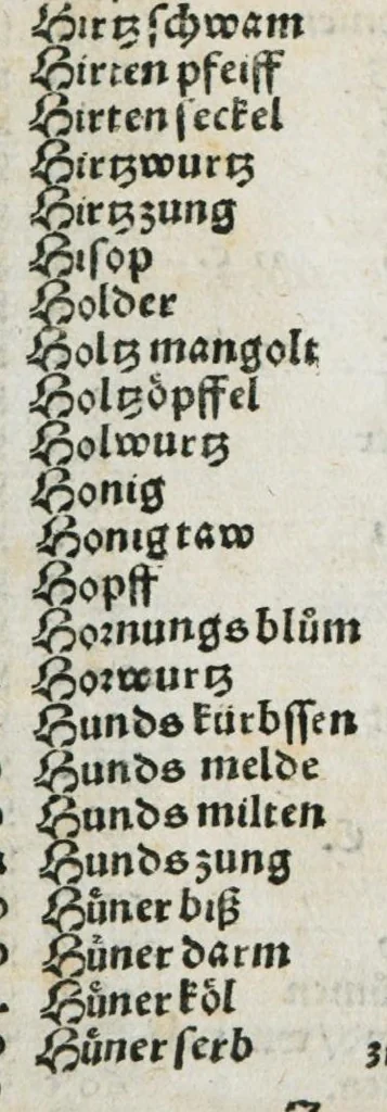 An illustration from Botanicon, continens herbarum, aliorumque simplicium, quorum usus in medicinis est, descriptiones et iconas ad vivum effigiatas : ex praecipuis tam Grecis quam Latinis Authoribus jam recens concinnatum ; Additis etiam, quae Neotericorum obseruationes & experientiae uel comprobarunt denuo, uel nuper inuenerunt/ Avt. Theodorico Dorstenio Medico, 1540, leaf 20