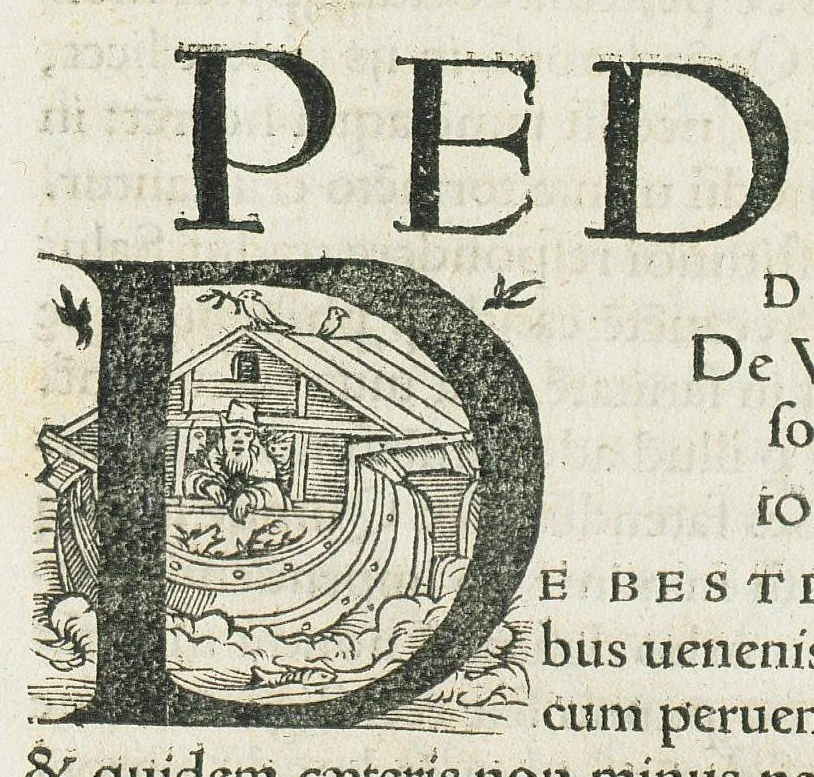 An illustration from P. Dioscoridae pharmacorum simplicium reique medicae libri VIII, Jo. Ruellio interprete. Una cum Herm. Barbari corollariis, et Marc. Vergilii in singula capita censuris, sive annotationibus..., 1529, leaf 713
