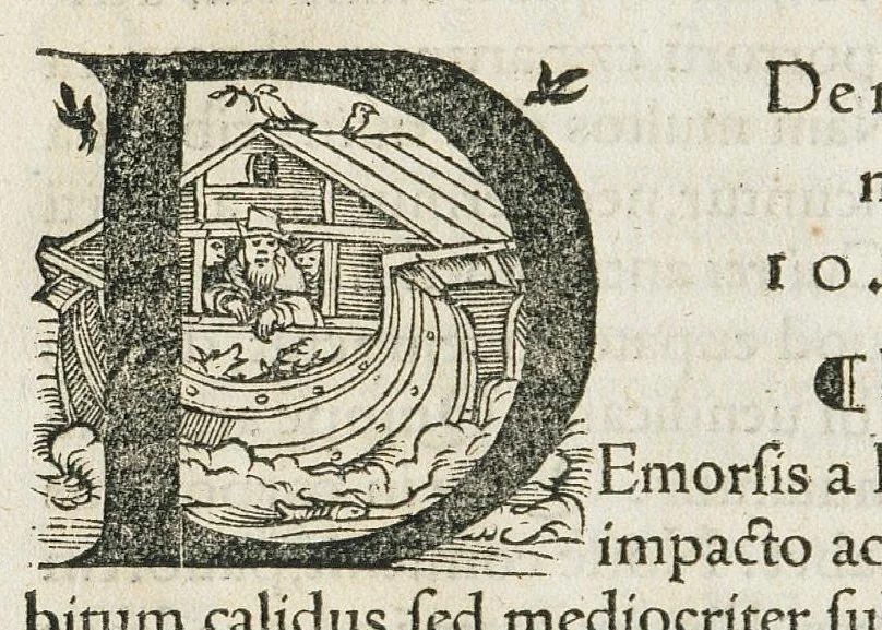 An illustration from P. Dioscoridae pharmacorum simplicium reique medicae libri VIII, Jo. Ruellio interprete. Una cum Herm. Barbari corollariis, et Marc. Vergilii in singula capita censuris, sive annotationibus..., 1529, leaf 722