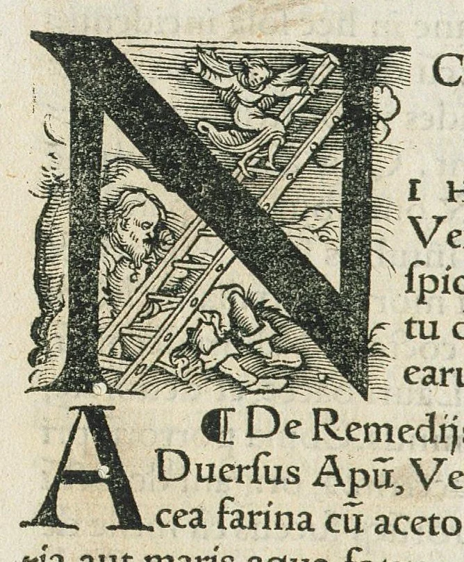 An illustration from P. Dioscoridae pharmacorum simplicium reique medicae libri VIII, Jo. Ruellio interprete. Una cum Herm. Barbari corollariis, et Marc. Vergilii in singula capita censuris, sive annotationibus..., 1529, leaf 728