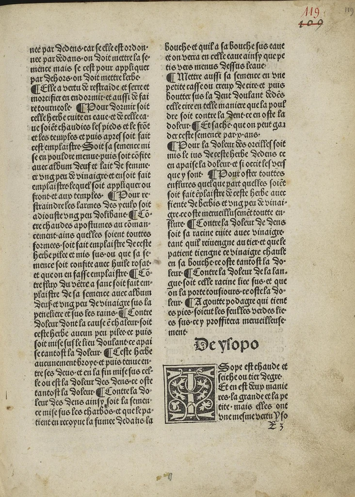An illustration from Arbolayre contenant la qualitey et virtus, proprietey des herbes, arbres, gommes et semences, leaf 258