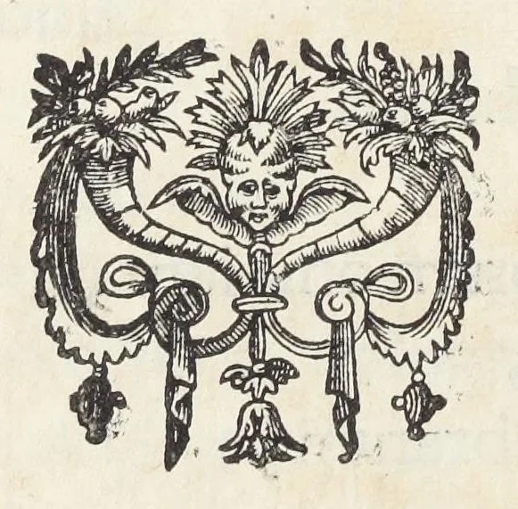 An illustration from Pharmacopoea Lugdunensis reformata, mandato & curâ inclyti Collegii Medicorum Lugdunensium., 1674, leaf 160