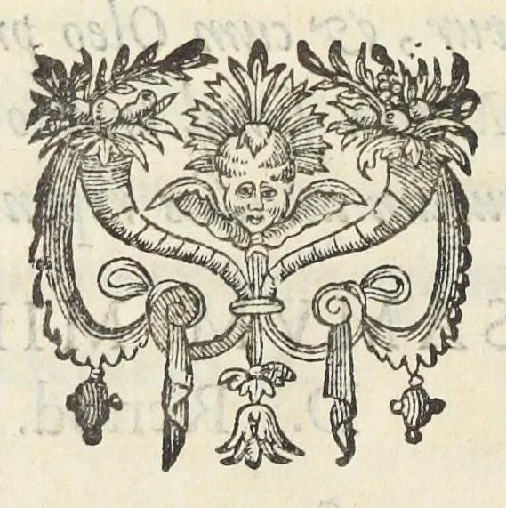 An illustration from Pharmacopoea Lugdunensis reformata, mandato & curâ inclyti Collegii Medicorum Lugdunensium., 1674, leaf 172