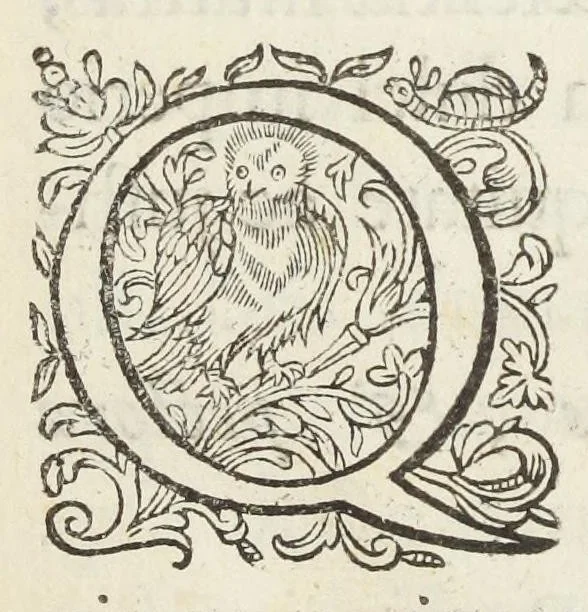 An illustration from Pharmacopoea Lugdunensis reformata, mandato & curâ inclyti Collegii Medicorum Lugdunensium., 1674, leaf 7