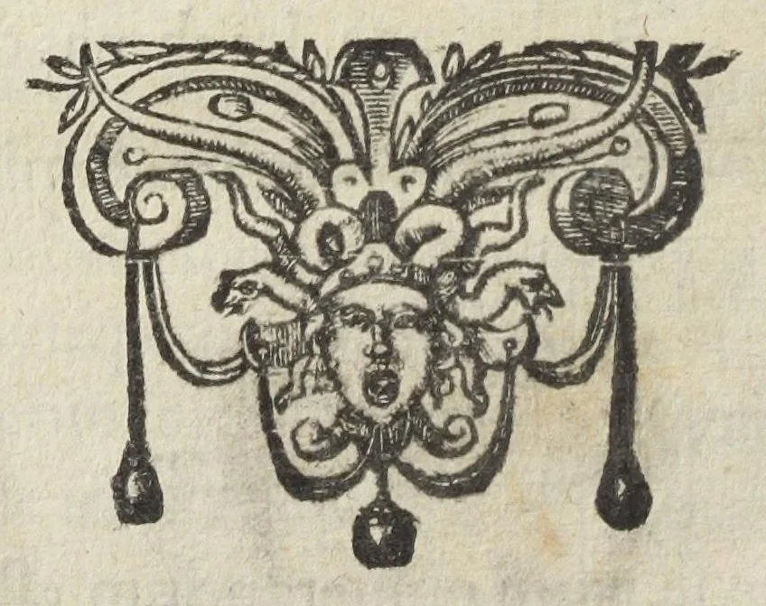 An illustration from Codex medicamentarius seu Pharmacopoea Parisiensis. Ex mandato facultatis medicinæ Parisiensis in lucem edita M. Philippo Harduino de S. Jacques Decano., 1638, leaf 146