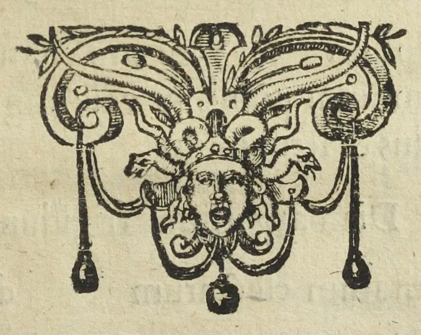 An illustration from Codex medicamentarius seu Pharmacopoea Parisiensis. Ex mandato facultatis medicinæ Parisiensis in lucem edita M. Philippo Harduino de S. Jacques Decano., 1638, leaf 65