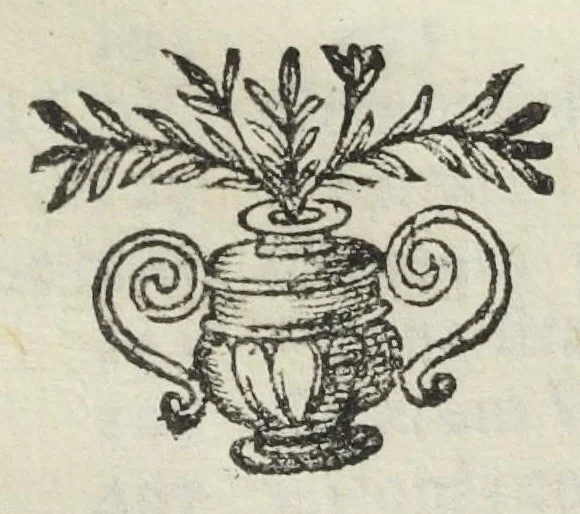 An illustration from Antidotarium Bononien: medic. collegiI diligenter emendatum, et auctum. Et amplissimo ejusdem civitatis Senatui dicatum. Cum privilegio Pauli .V. Pont. Max:, 1615, leaf 635