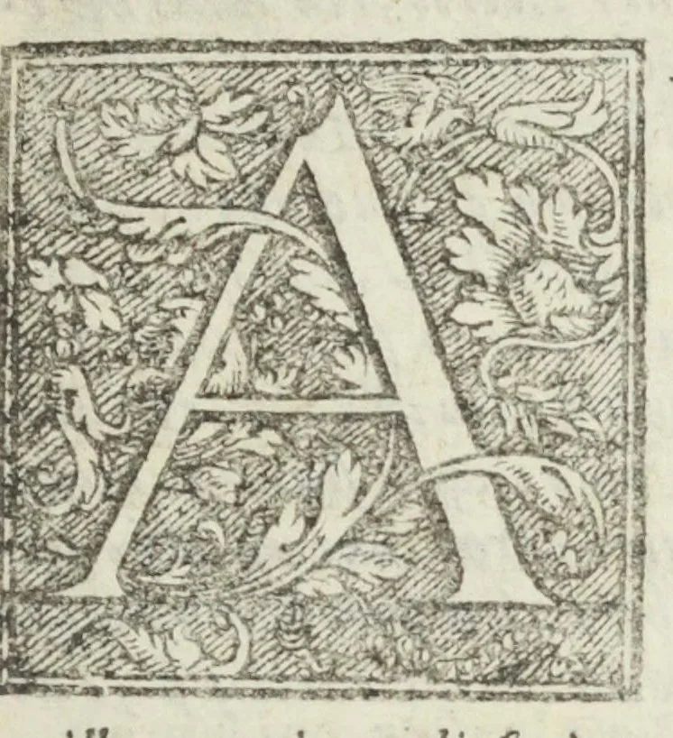 An illustration from Antidotarium Bononien: medic. collegiI diligenter emendatum, et auctum. Et amplissimo ejusdem civitatis Senatui dicatum. Cum privilegio Pauli .V. Pont. Max:, 1615, leaf 7