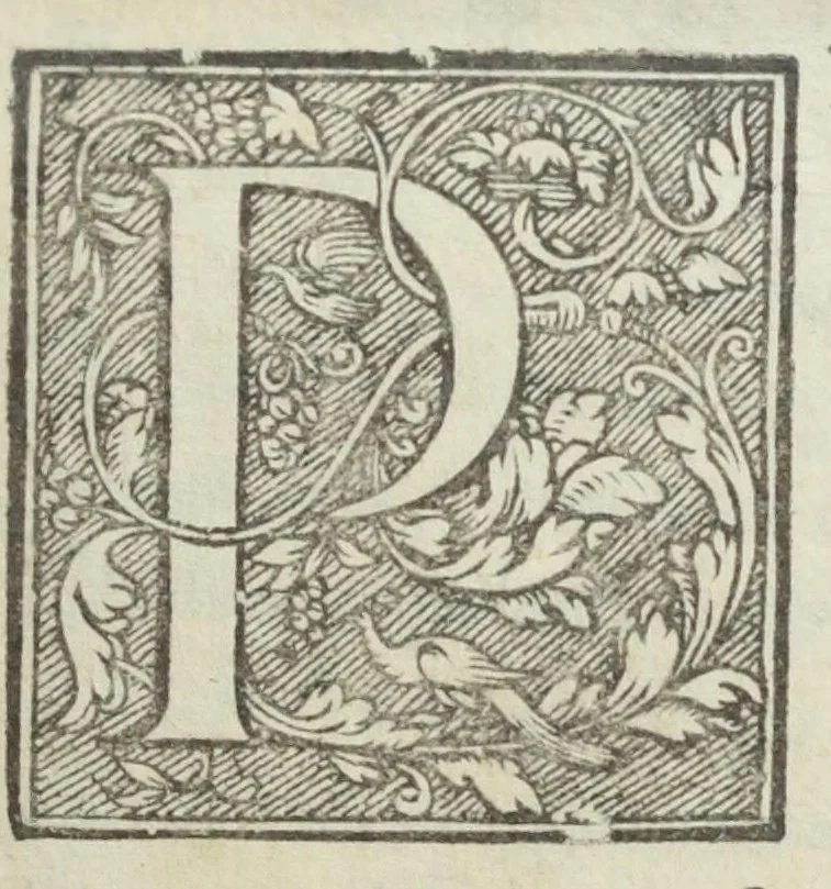 An illustration from Antidotarium Bononien: medic. collegiI diligenter emendatum, et auctum. Et amplissimo ejusdem civitatis Senatui dicatum. Cum privilegio Pauli .V. Pont. Max:, 1615, leaf 9