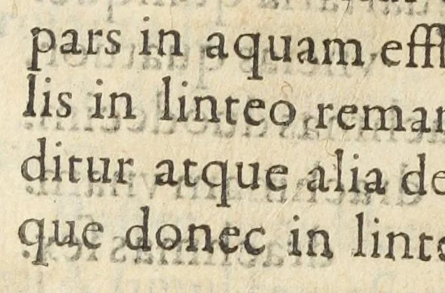 An illustration from Codex medicamentarius seu pharmacopoea Parisiensis ex mandato Facultatis medicinæ Parisiensis in lucem edita M. Philippo Harduino de S. Jacques decano., 1645, leaf 134