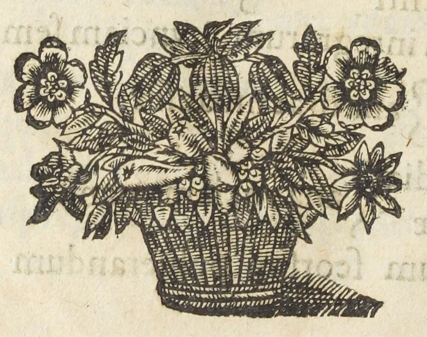 An illustration from Codex medicamentarius seu pharmacopoea Parisiensis ex mandato Facultatis medicinæ Parisiensis in lucem edita M. Philippo Harduino de S. Jacques decano., 1645, leaf 148