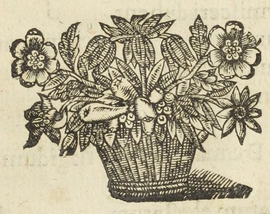 An illustration from Codex medicamentarius seu pharmacopoea Parisiensis ex mandato Facultatis medicinæ Parisiensis in lucem edita M. Philippo Harduino de S. Jacques decano., 1645, leaf 67