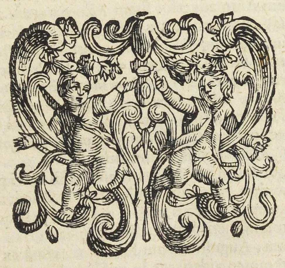 An illustration from Pharmacopoeia Augustana Restituta, sive Examen Animadversionum in Dispensatorium Augustanum, ejusdemque Mantissam hermeticam Joannis Zvelferi, Palatini adornatum à Luca Schröckio, Luc. Fil. Medic. Doct. & in Patria Physico.[Suivi de : ], 1673, leaf 141
