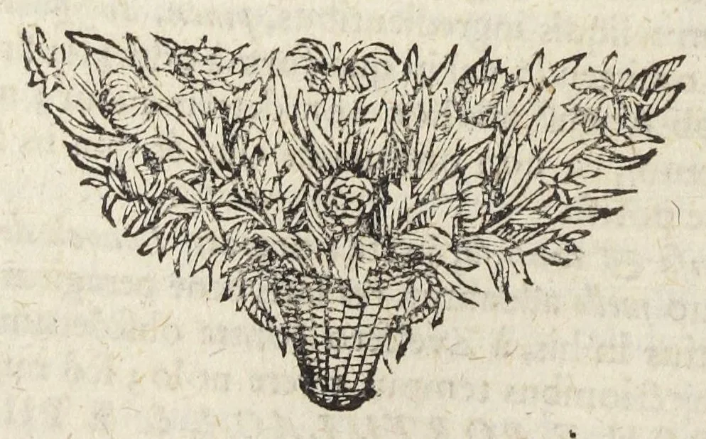 An illustration from Pharmacopoeia Augustana Restituta, sive Examen Animadversionum in Dispensatorium Augustanum, ejusdemque Mantissam hermeticam Joannis Zvelferi, Palatini adornatum à Luca Schröckio, Luc. Fil. Medic. Doct. & in Patria Physico.[Suivi de : ], 1673, leaf 206