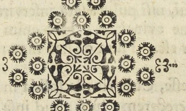 An illustration from Pharmacopoeia Augustana Restituta, sive Examen Animadversionum in Dispensatorium Augustanum, ejusdemque Mantissam hermeticam Joannis Zvelferi, Palatini adornatum à Luca Schröckio, Luc. Fil. Medic. Doct. & in Patria Physico.[Suivi de : ], 1673, leaf 249
