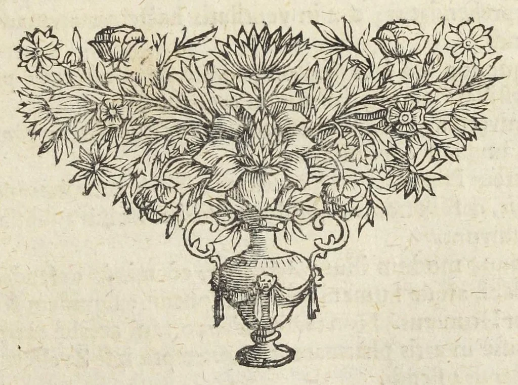 An illustration from Pharmacopoeia Augustana Restituta, sive Examen Animadversionum in Dispensatorium Augustanum, ejusdemque Mantissam hermeticam Joannis Zvelferi, Palatini adornatum à Luca Schröckio, Luc. Fil. Medic. Doct. & in Patria Physico.[Suivi de : ], 1673, leaf 321