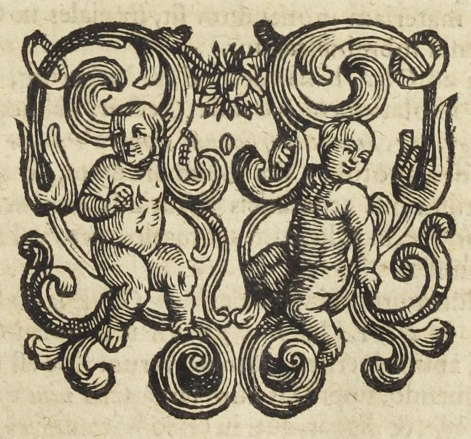 An illustration from Pharmacopoeia Augustana Restituta, sive Examen Animadversionum in Dispensatorium Augustanum, ejusdemque Mantissam hermeticam Joannis Zvelferi, Palatini adornatum à Luca Schröckio, Luc. Fil. Medic. Doct. & in Patria Physico.[Suivi de : ], 1673, leaf 359