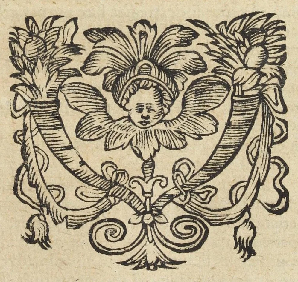 An illustration from Pharmacopoeia Augustana Restituta, sive Examen Animadversionum in Dispensatorium Augustanum, ejusdemque Mantissam hermeticam Joannis Zvelferi, Palatini adornatum à Luca Schröckio, Luc. Fil. Medic. Doct. & in Patria Physico.[Suivi de : ], 1673, leaf 445